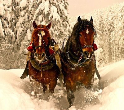 Caballos en Paisaje Nevado