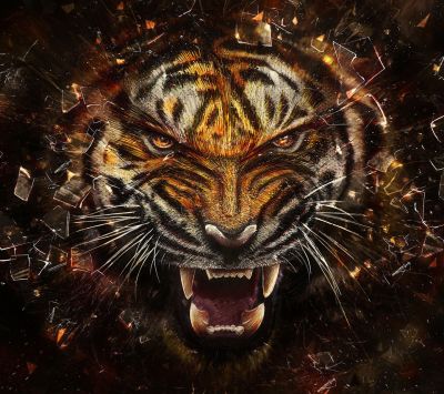 Fierce Tiger Artwork