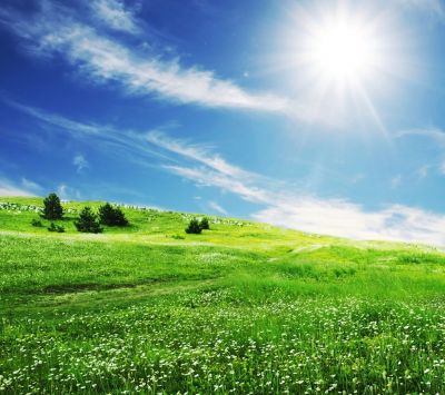 Pradera Verde Soleada