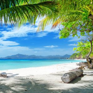 Paraíso de Playa Tropical