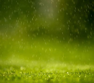 Lluvia en el Césped Verde