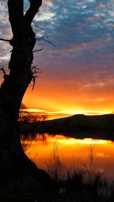 Impresionante Reflejo del Atardecer