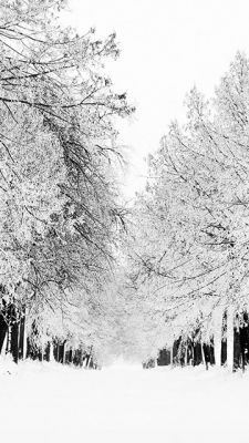 Paisaje Invernal