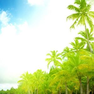 Paraíso de Playa Tropical