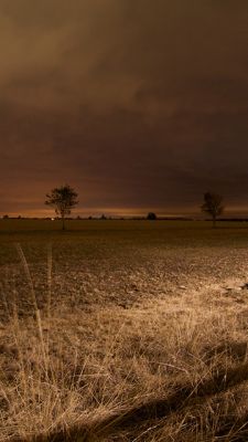 Paisaje Nocturno Sereno