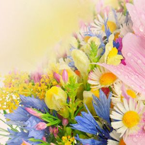 Ramo de Flores Coloridas