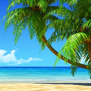 Paraíso Tropical
