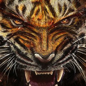 Rugido Feroz de Tigre