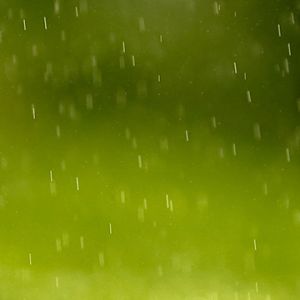 Lluvia en la Naturaleza Verde