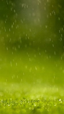 Lluvia en la Naturaleza Verde