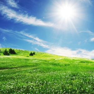 Pradera Verde Soleada
