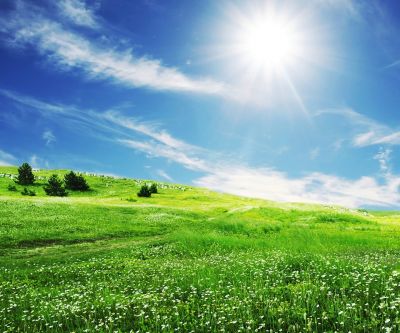 Pradera Verde Soleada