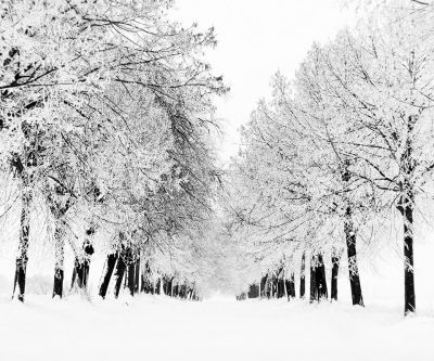 Paisaje Invernal