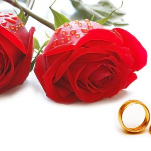 Rosas y Anillos de Boda