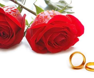 Rosas y Anillos de Boda