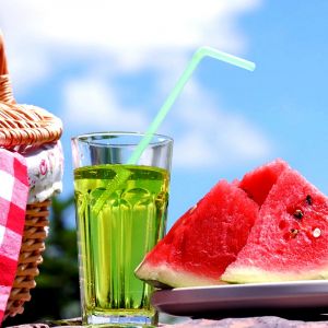 Picnic de verano refrescante