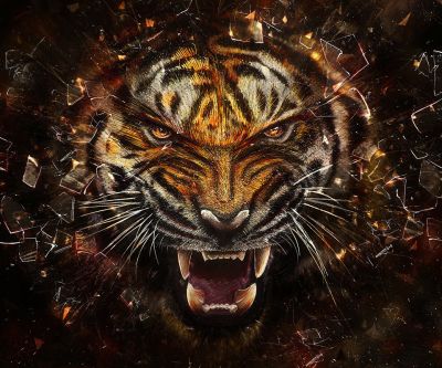 Fondo de Tigre Feroz