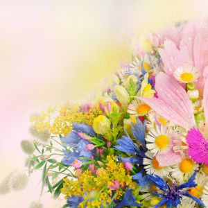 Ramo de Flores Coloridas
