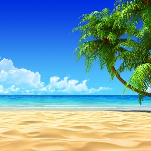 Paraíso de Playa Tropical