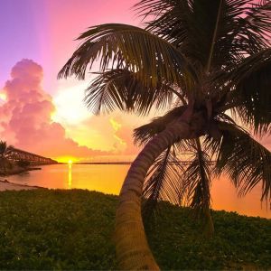 Atardecer Tropical con Palmeras