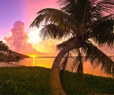 Atardecer Tropical con Palmeras