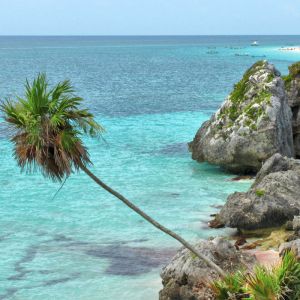 Paraíso de Playa Tropical