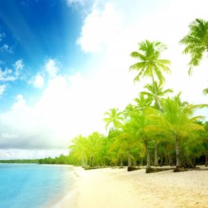 Paraíso de Playa Tropical
