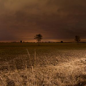 Paisaje Nocturno Sereno