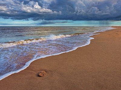 Sereno Atardecer en la Playa