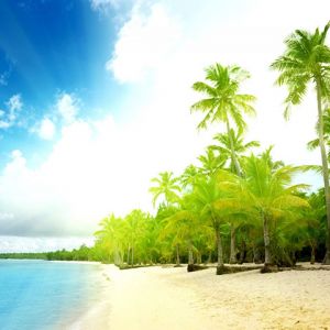 Paraíso de Playa Tropical