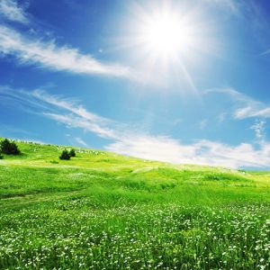 Pradera Verde Soleada