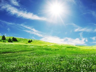 Pradera Verde Soleada