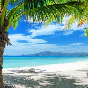 Paraíso de Playa Tropical