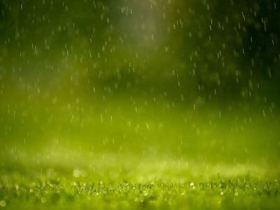 Lluvia en el Césped Verde