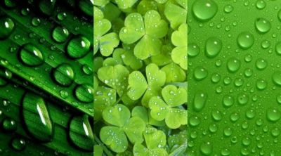 Patrones Naturales Verdes