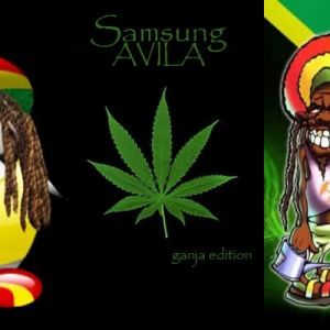 Pingüino Rasta y Arte Ganja