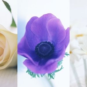 Hermosa Composición Floral