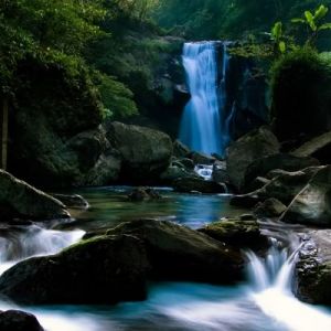 Cascada Serena en la Naturaleza