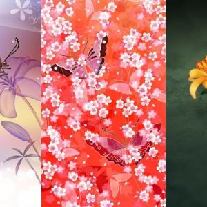 Arte de Mariposas y Flores