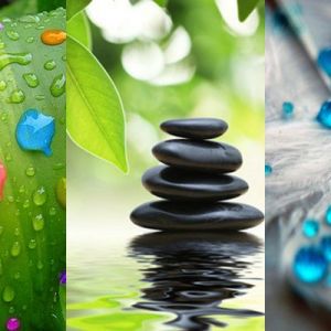 Gotas de agua en hojas