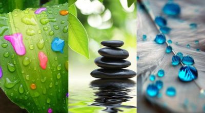 Gotas de agua en hojas