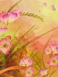 Abstracto Floral Colorido