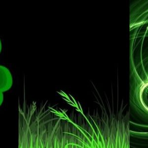 Patrones de Trébol Verde