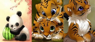 Ilustraciones de panda y tigres adorables