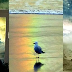 Naturaleza Serena y Amor