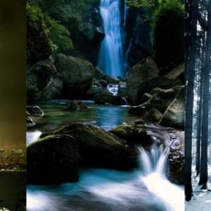 Paisajes Naturales Serenos