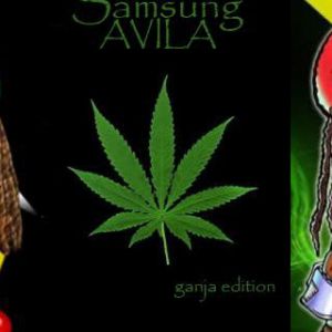 Pingüino Rasta y Arte Ganja