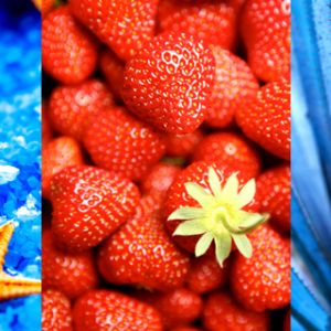 Naturaleza y Comida Colorida