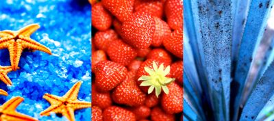 Naturaleza y Comida Colorida