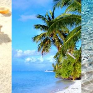 Paraíso Tropical